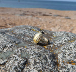 Charger l&#39;image dans la galerie, Découvrez notre superbe bague scarabée, un bijou unique mêlant symbolisme et élégance. Fabriquée avec précision et passion, cette pièce d&#39;exception allie un design raffiné à des détails exquis. Ornée de pierres précieuses, elle incarne la beauté naturelle et la signification profonde du scarabée. Laissez-vous séduire par notre site internet et plongez dans l&#39;univers magique de cette bague. Préparez-vous à revêtir ce trésor empreint de splendeur et de mystère.
